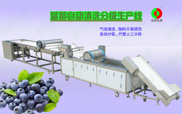 乐至蓝莓/蔬果全自动清洗分级生产线